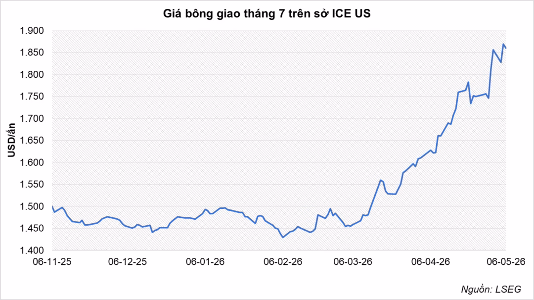 Hạn hán nghiêm trọng bao phủ 98% diện tích trồng bông tại Mỹ, gây áp lực lớn lên nguồn cung toàn cầu.